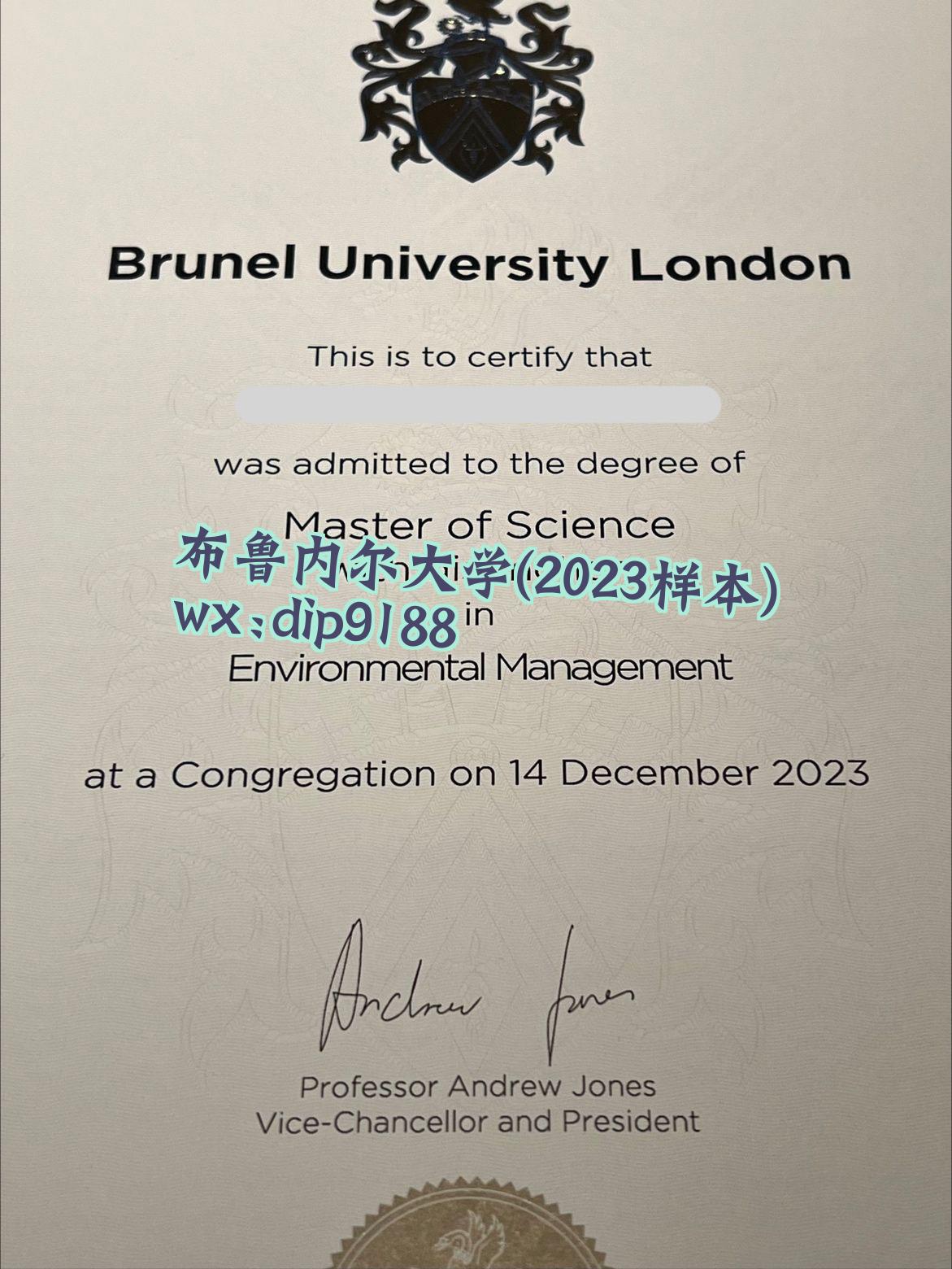 布鲁内尔大学学历2023毕业证样本图