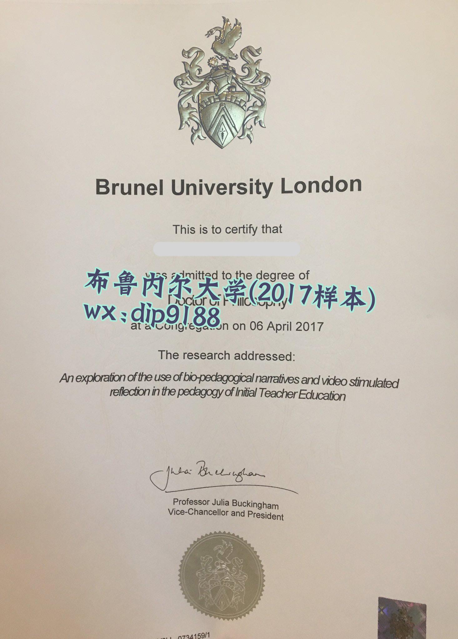 布鲁内尔大学学历2017毕业证样本图