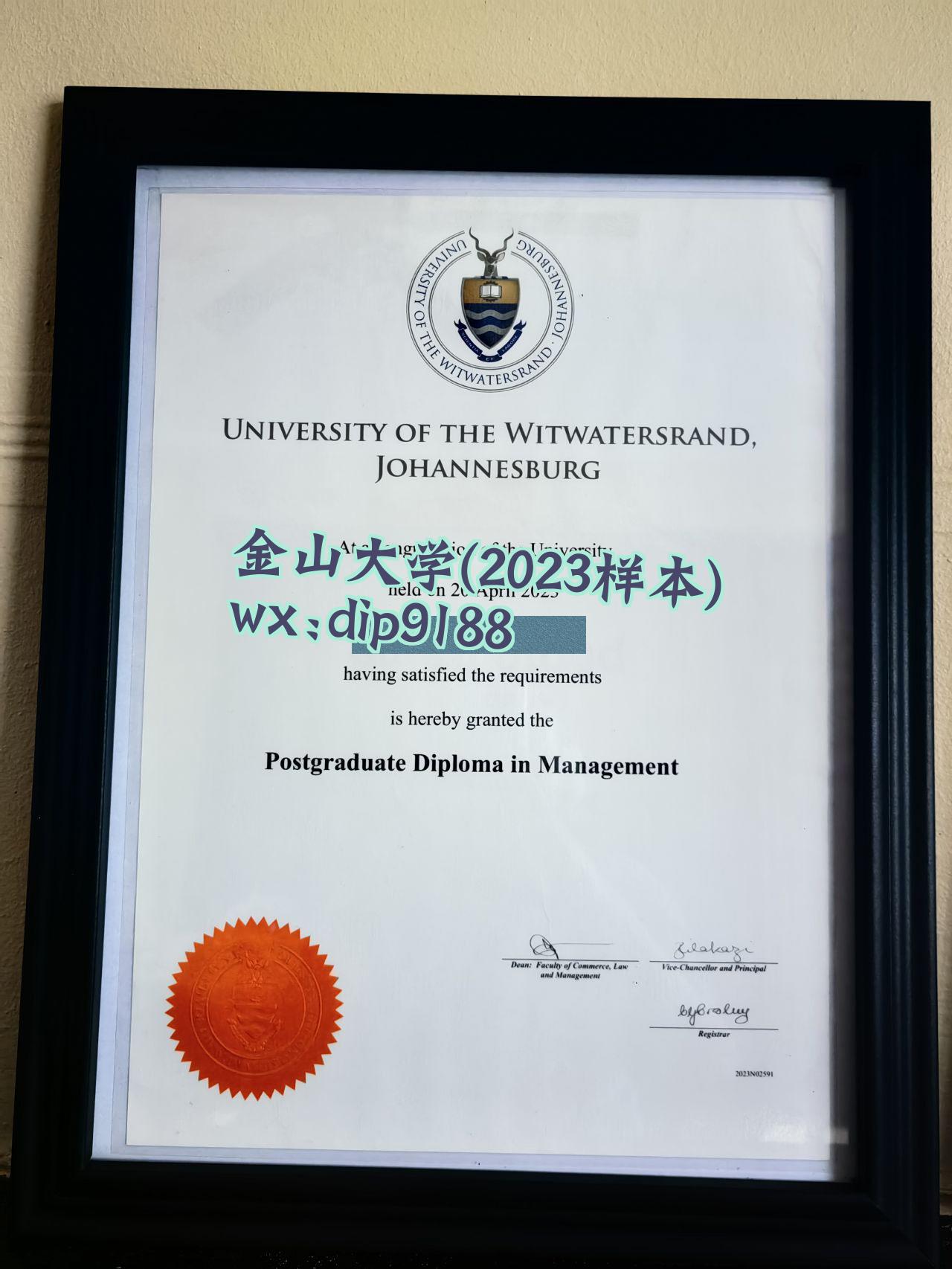 金山大学学历2023毕业证样本图片
