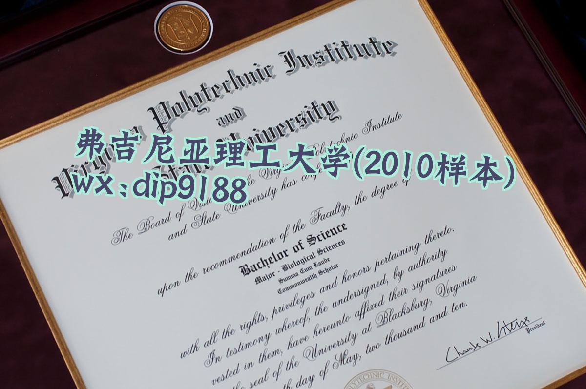 弗吉尼亚理工大学学历2010毕业证样本图