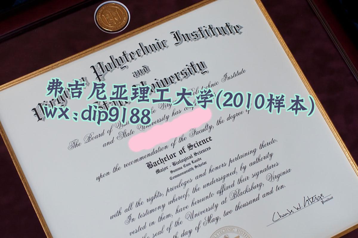 弗吉尼亚理工大学学历2010毕业证样本图