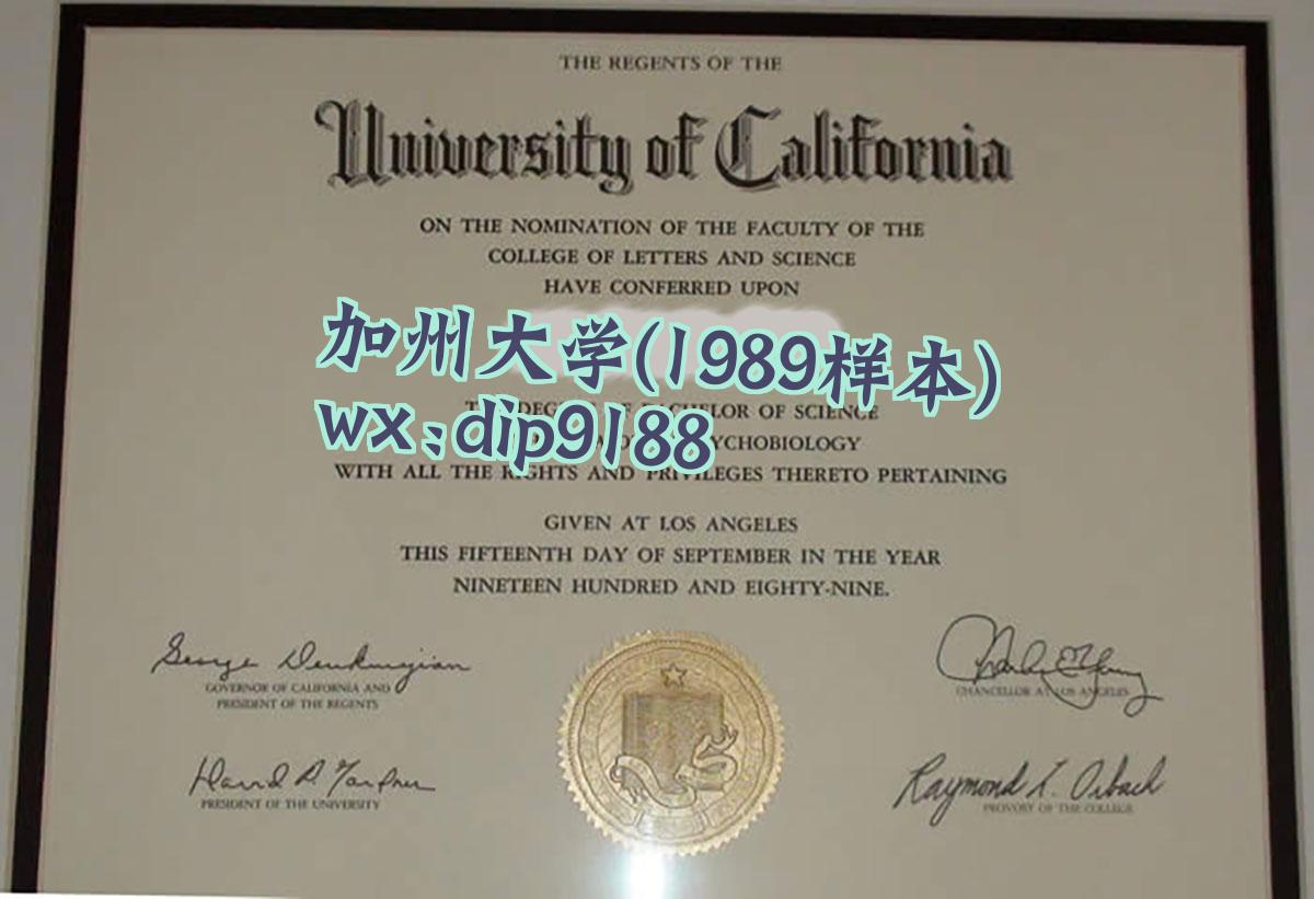 加州大学学历1989毕业证样本图