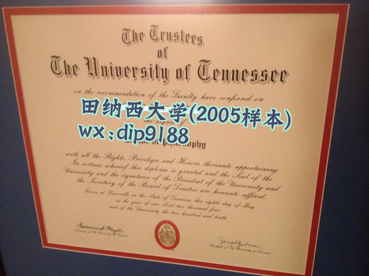田纳西大学学历2005毕业证样本图