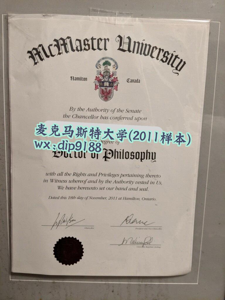 麦克马斯特大学学历2011毕业证样本图
