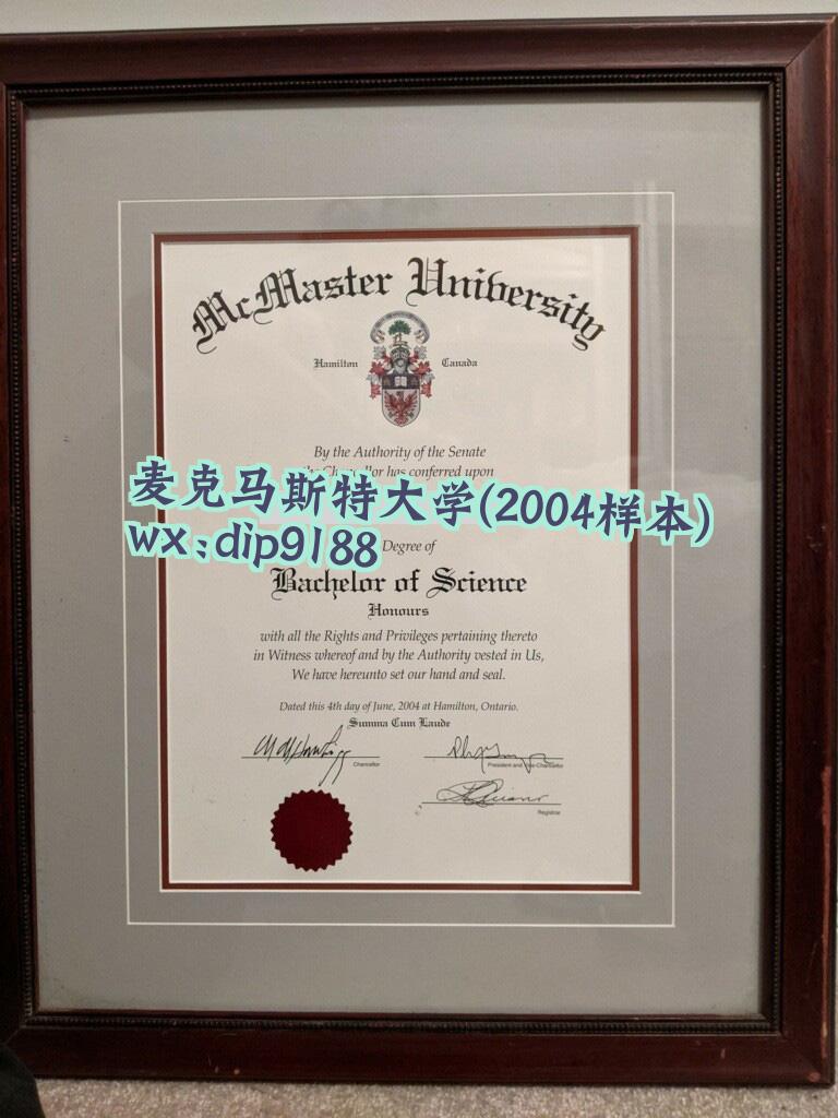 麦克马斯特大学学历2004毕业证样本图