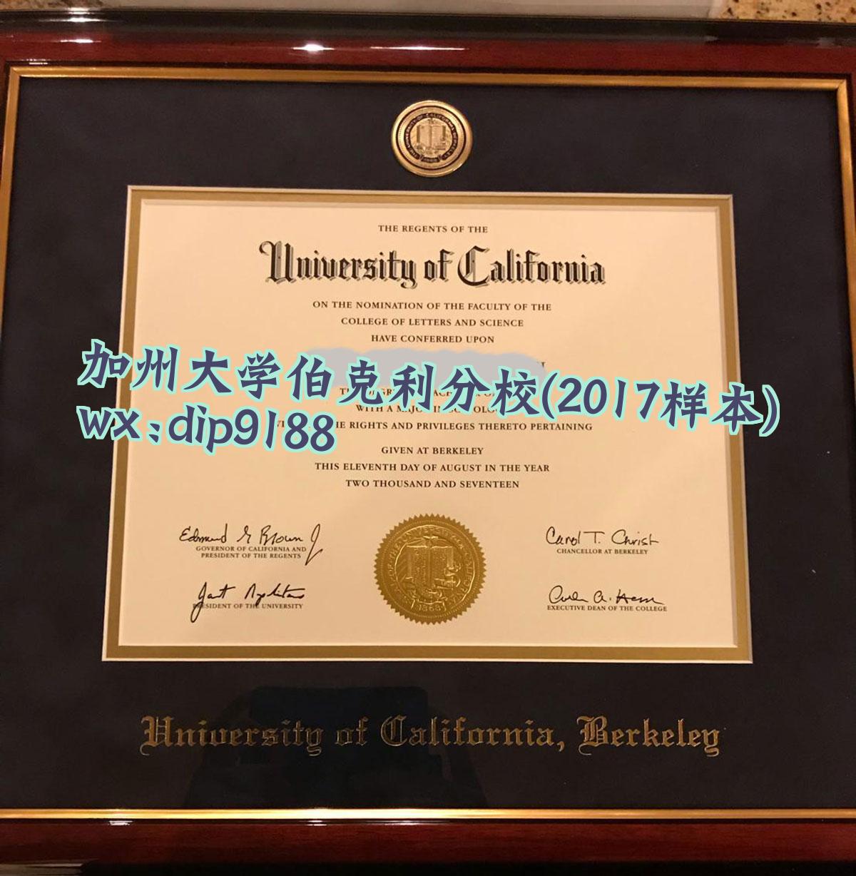 加州大学伯克利分校学历2017毕业证样本图