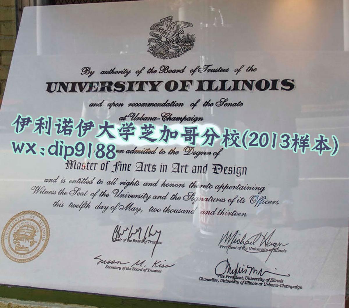 伊利诺伊大学芝加哥分校学历2013毕业证样本图
