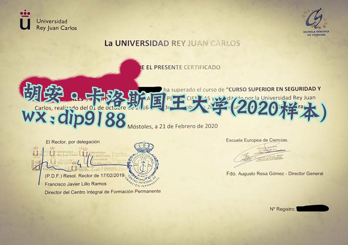 胡安·卡洛斯国王大学学历2020毕业证样本图