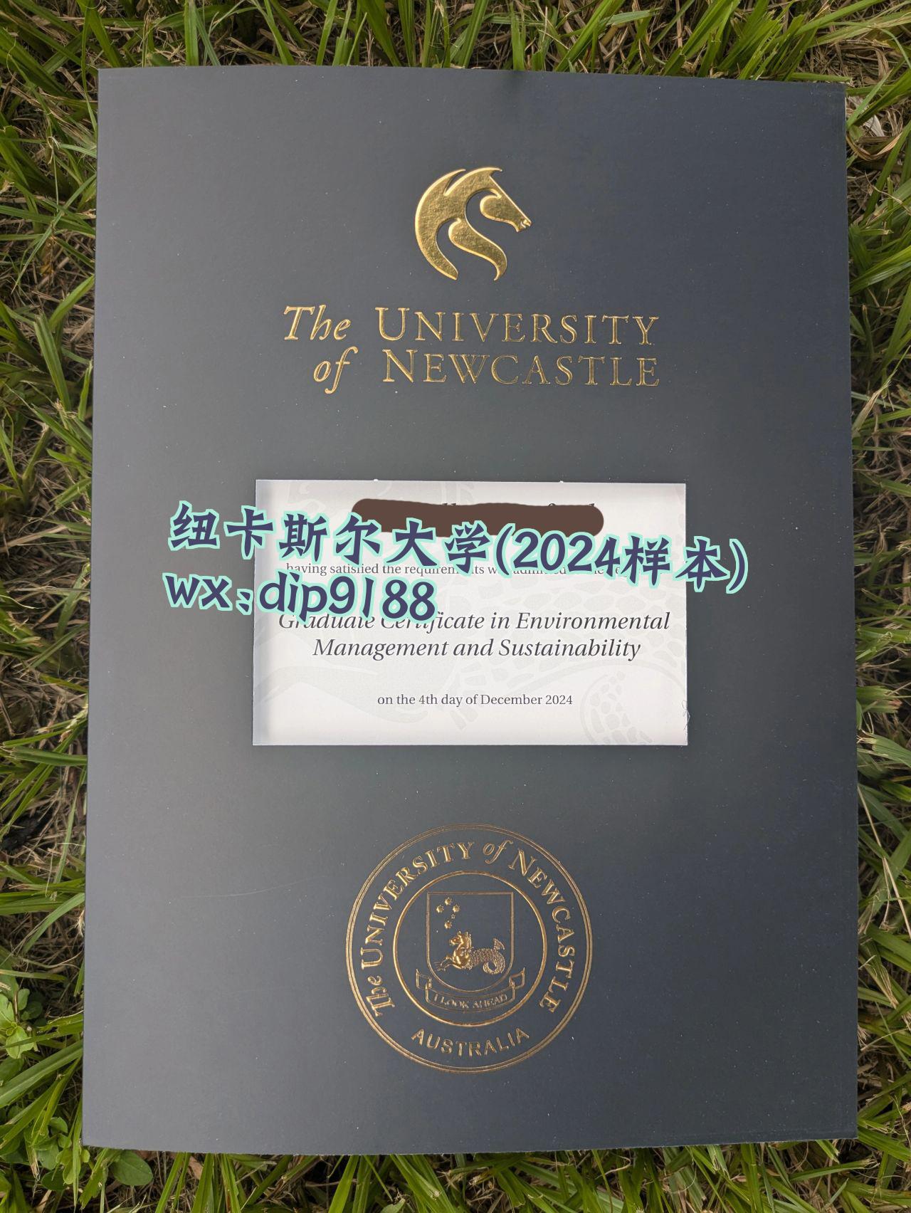 纽卡斯尔大学学历2024毕业证样本图