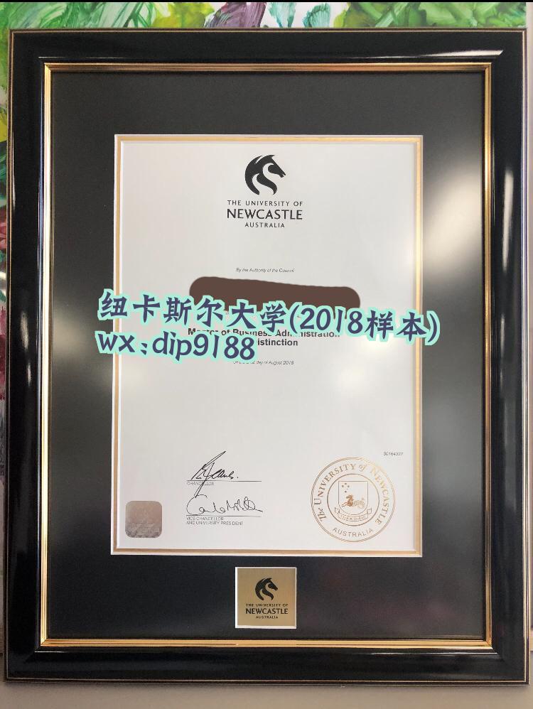 纽卡斯尔大学学历2018毕业证样本图