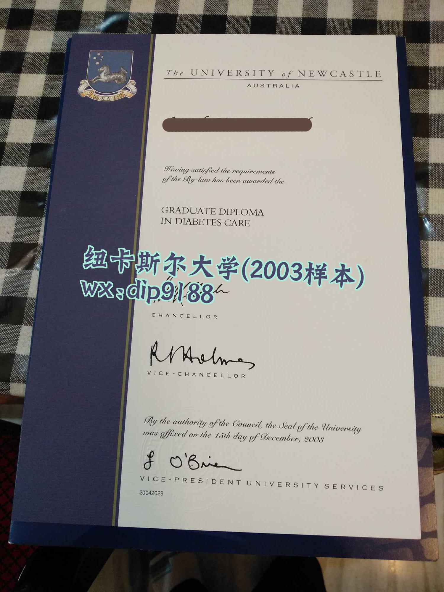 纽卡斯尔大学学历2003毕业证样本图
