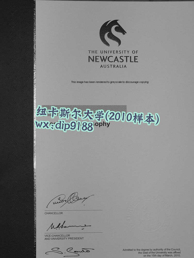 纽卡斯尔大学学历2010毕业证样本图