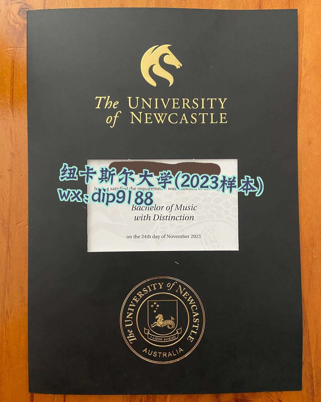 纽卡斯尔大学学历2023毕业证样本图