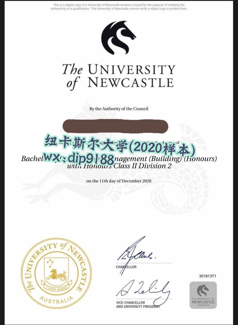 纽卡斯尔大学学历2020毕业证样本图