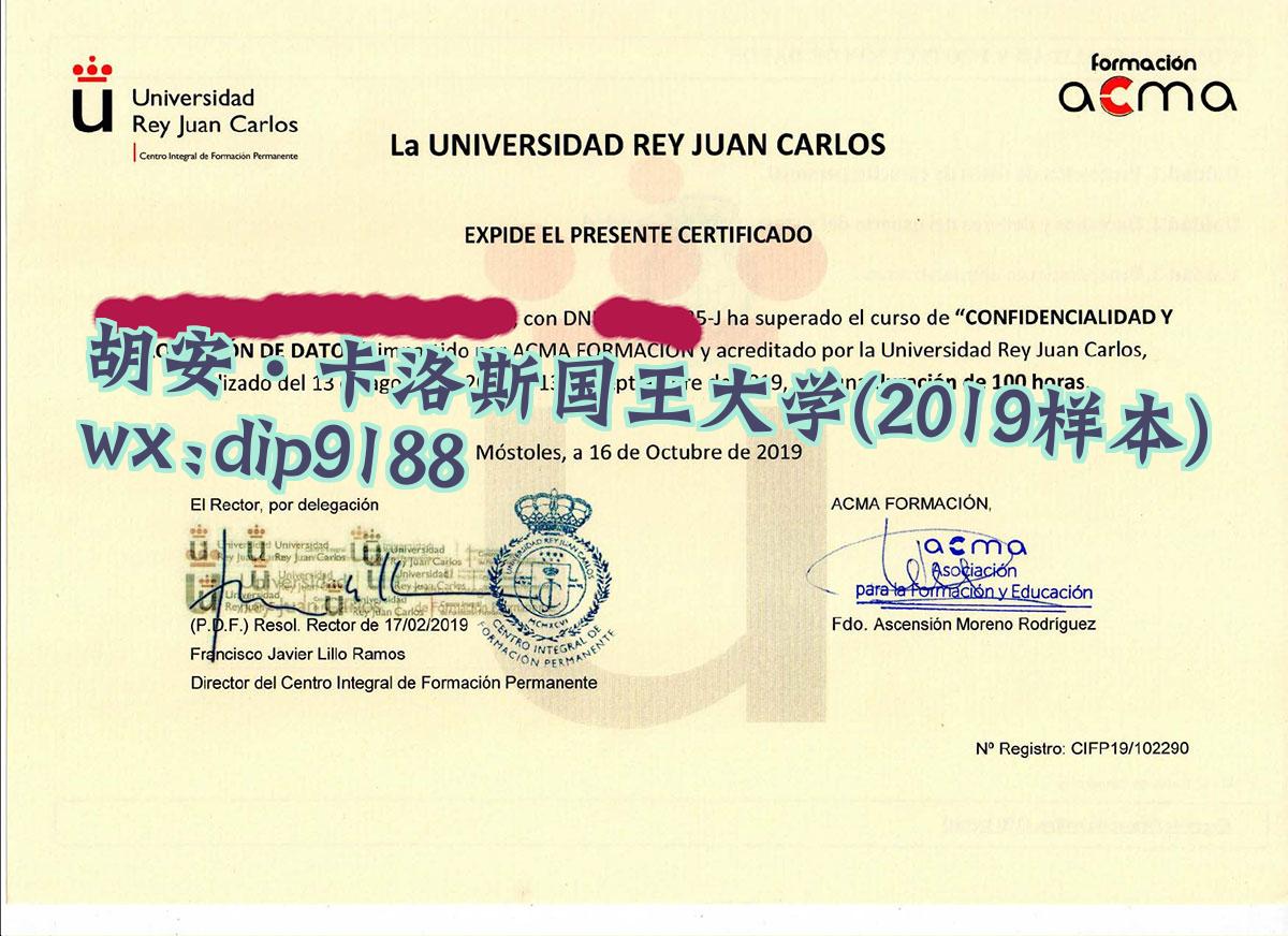 胡安·卡洛斯国王大学学历2019毕业证样本图