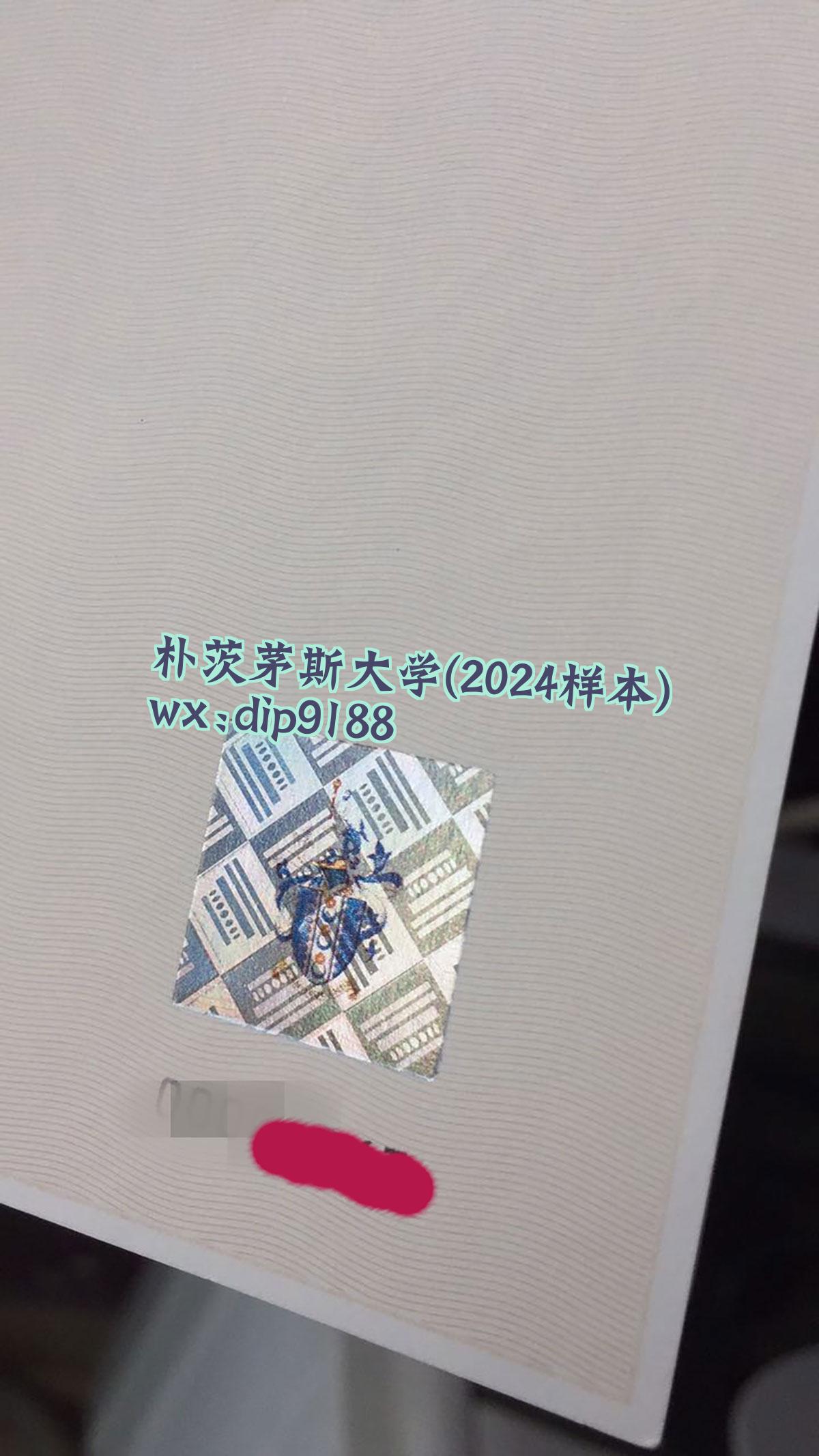 朴茨茅斯大学学历2024毕业证样本图