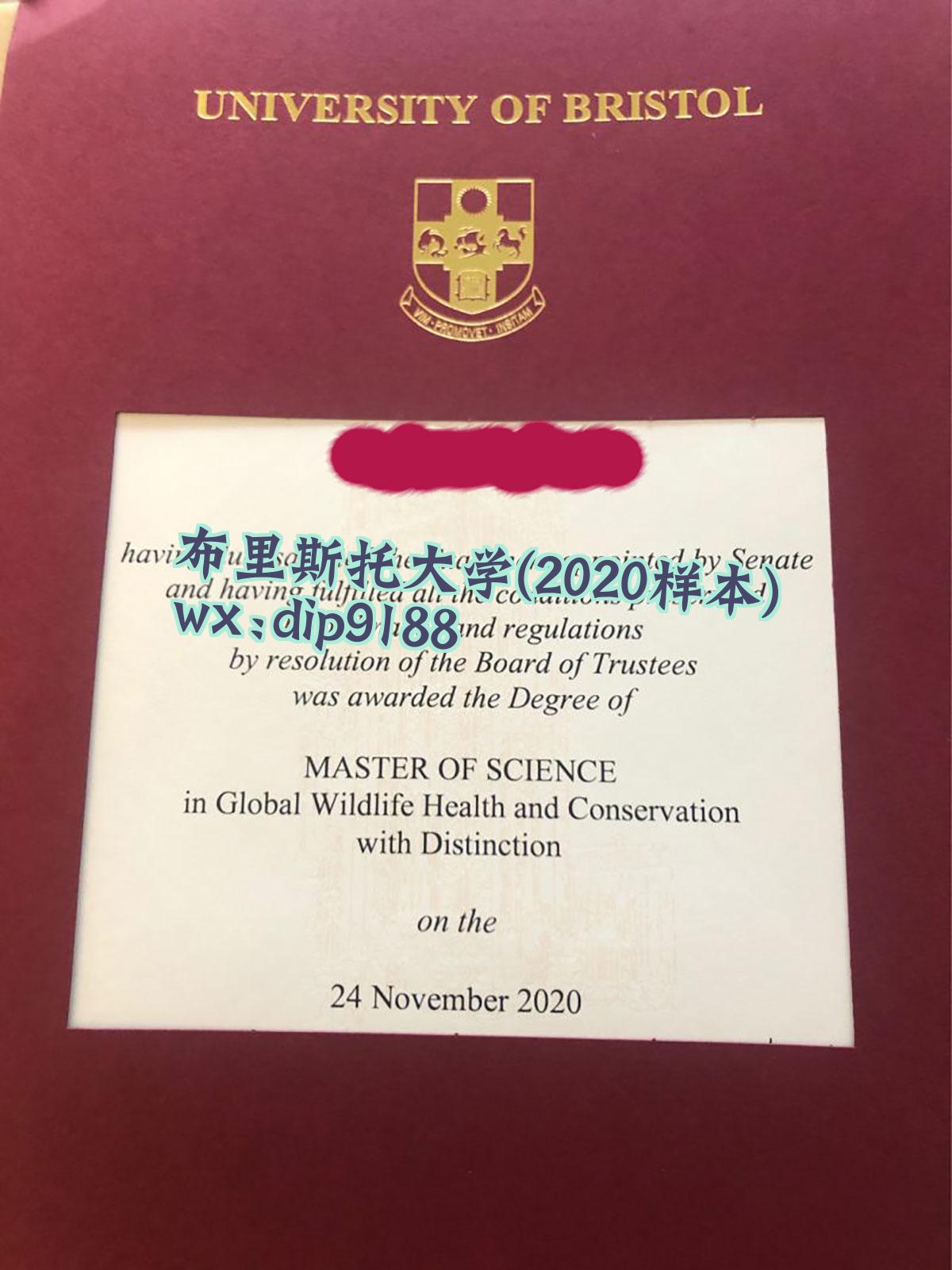 布里斯托大学学历2020毕业证样本图