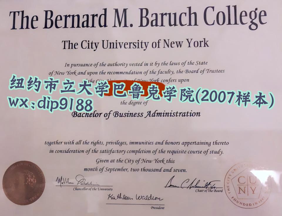 纽约市立大学巴鲁克学院学历2007毕业证样本图