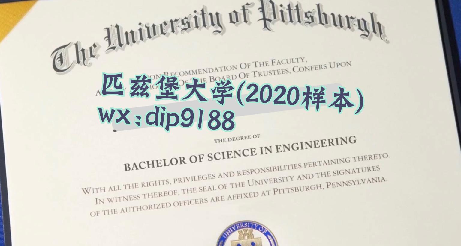 匹兹堡大学学历2020毕业证样本图