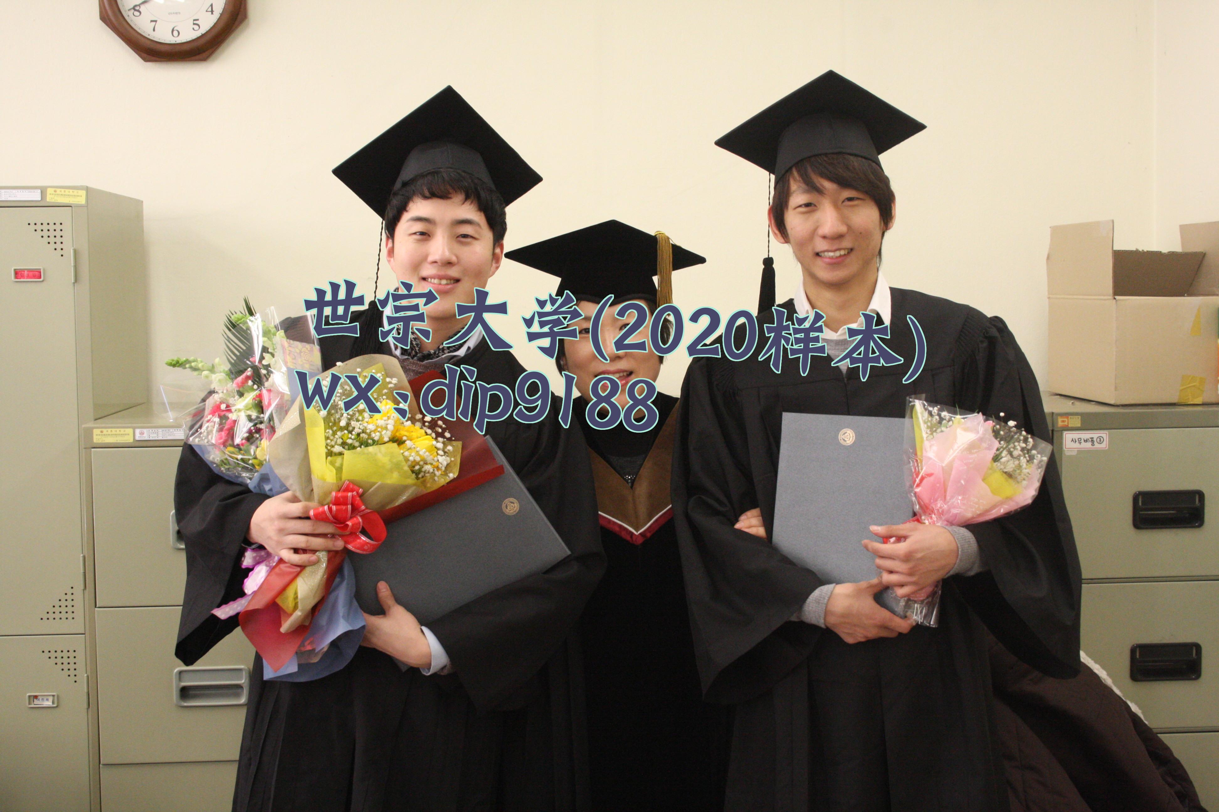 世宗大学学历2020毕业证样本图