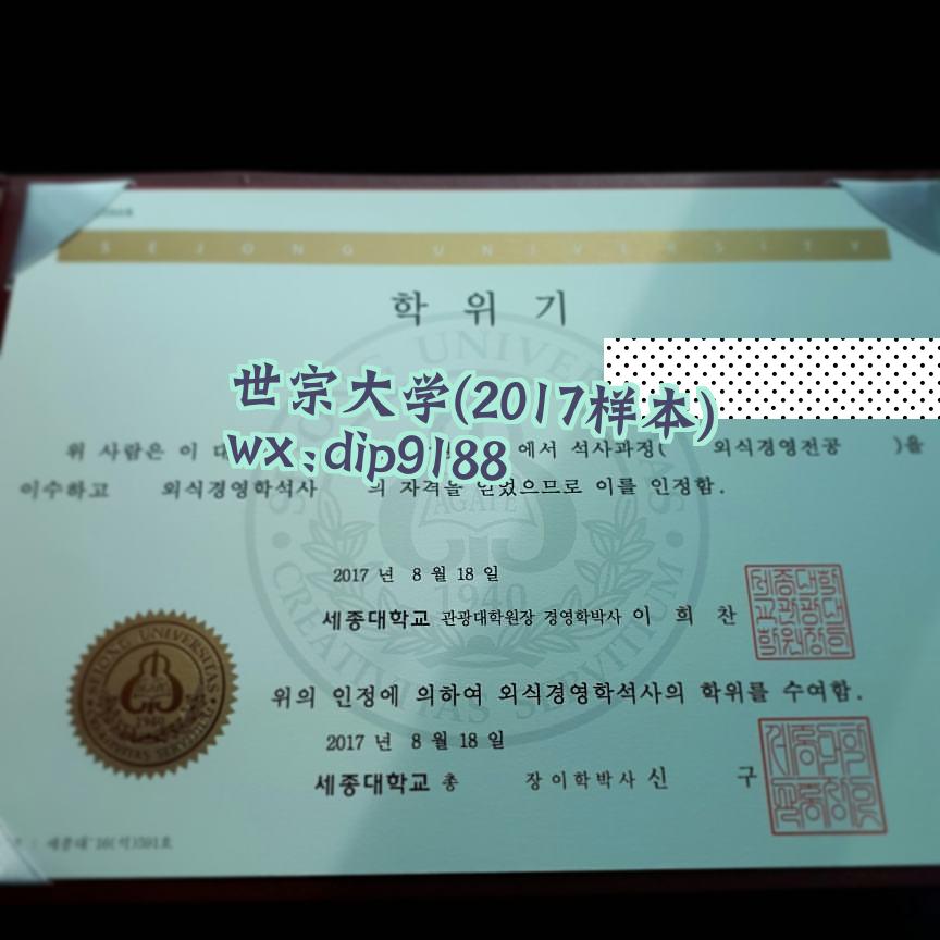 世宗大学学历2017毕业证样本图