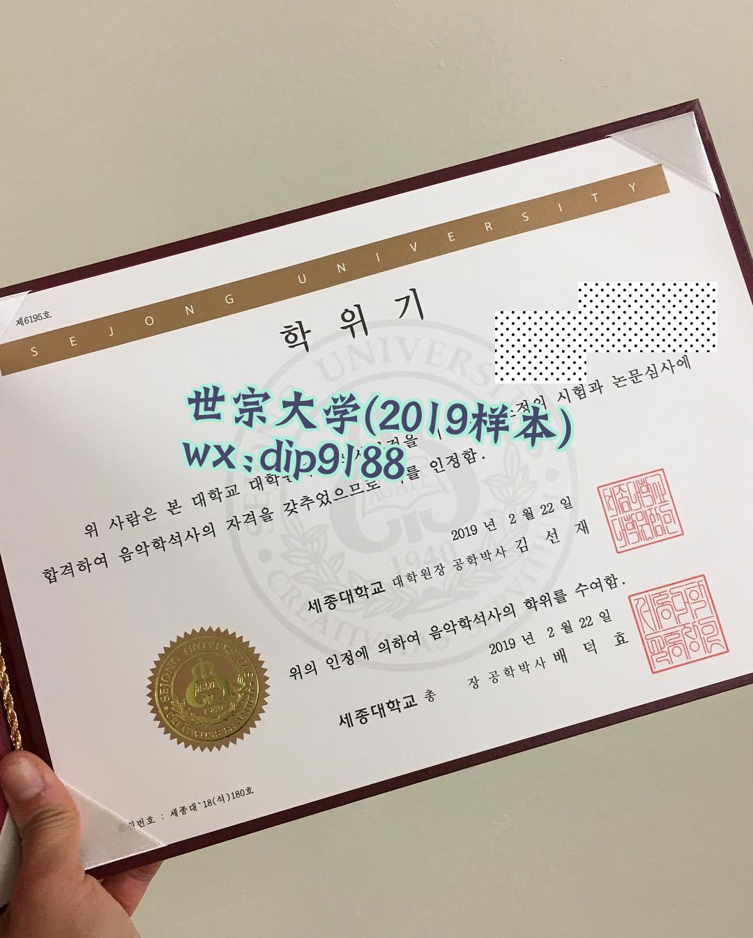 世宗大学学历2019毕业证样本图