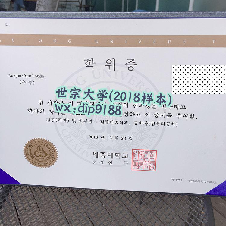 世宗大学学历2018毕业证样本图