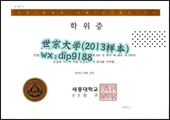 世宗大学学历2013毕业证样本图