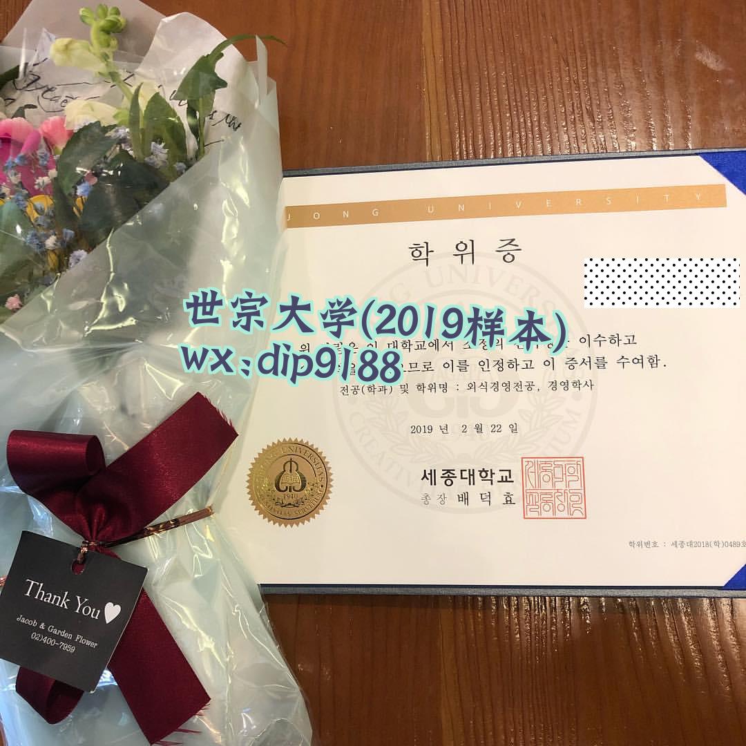 世宗大学学历2019毕业证样本图