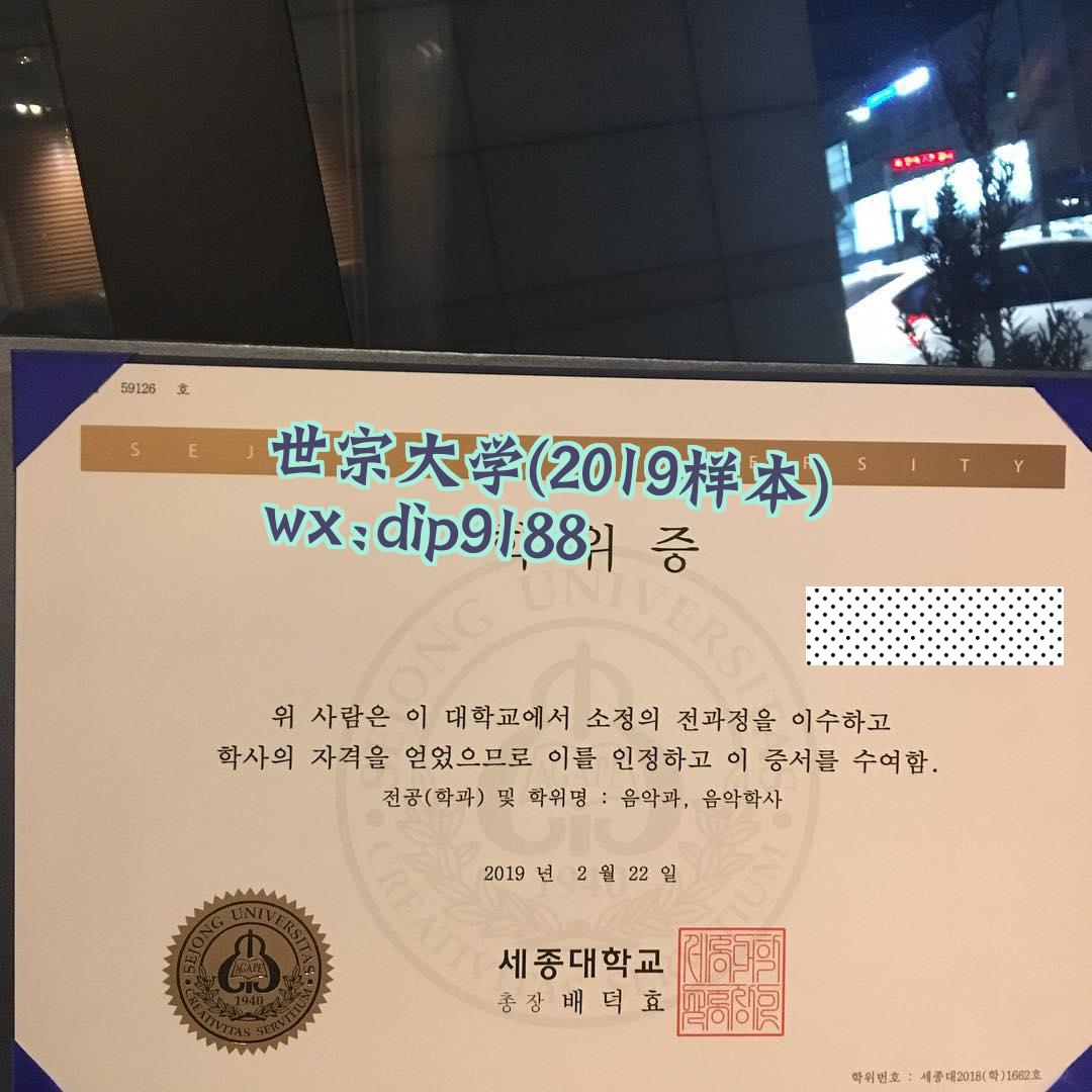世宗大学学历2019毕业证样本图