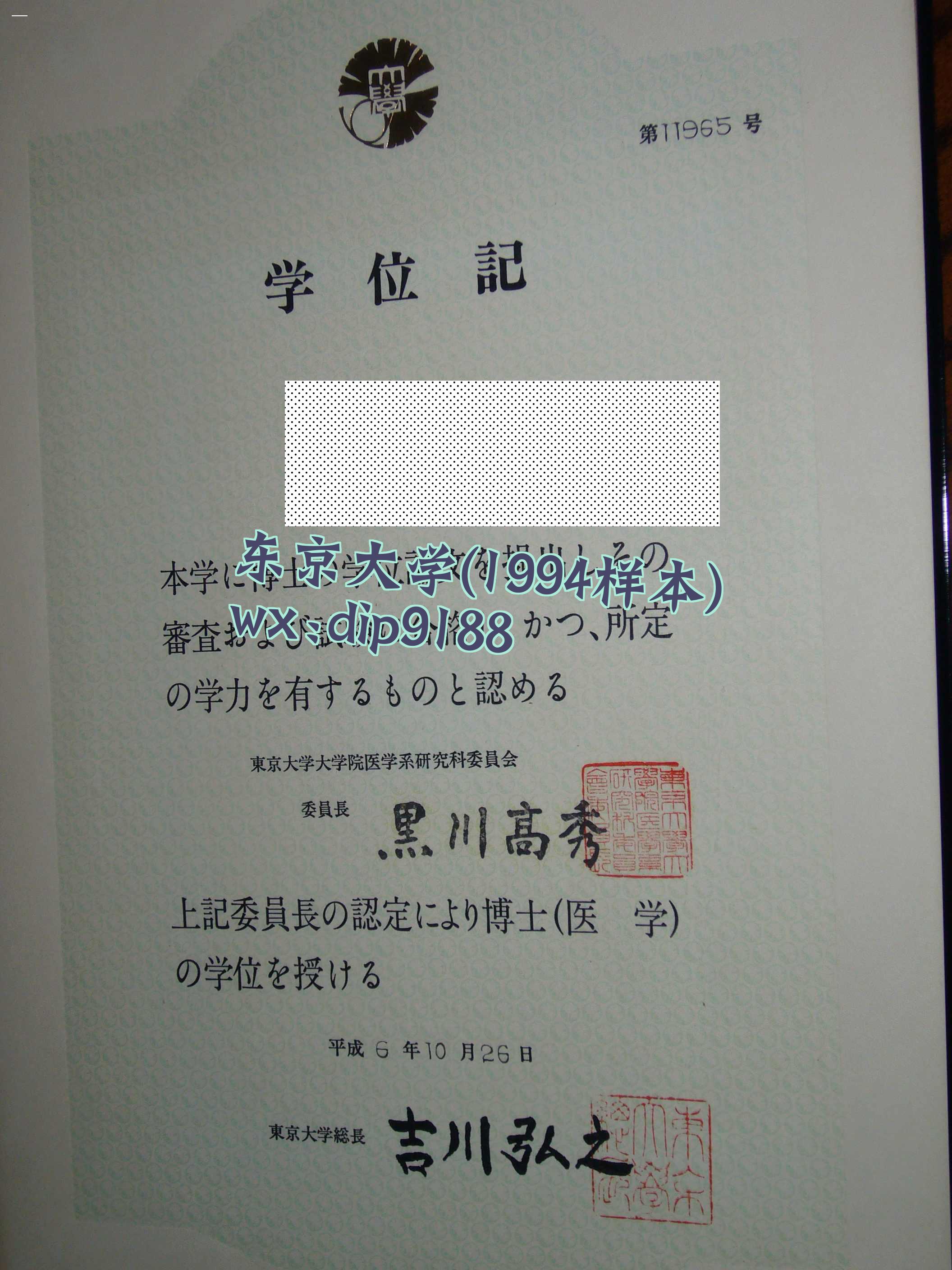 东京大学学历1994毕业证样本图