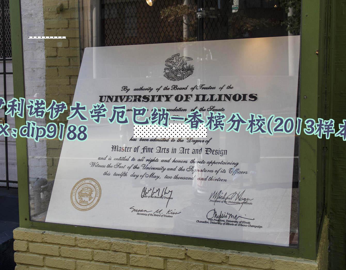 伊利诺伊大学厄巴纳-香槟分校学历2013毕业证样本图