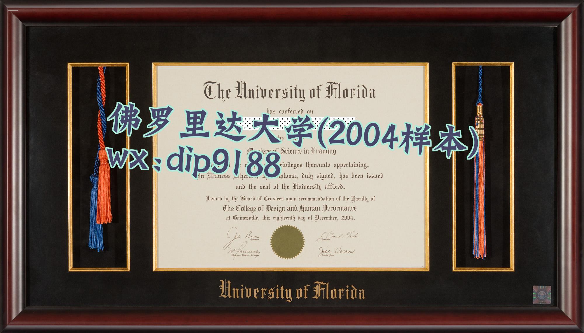 佛罗里达大学学历2004毕业证样本图