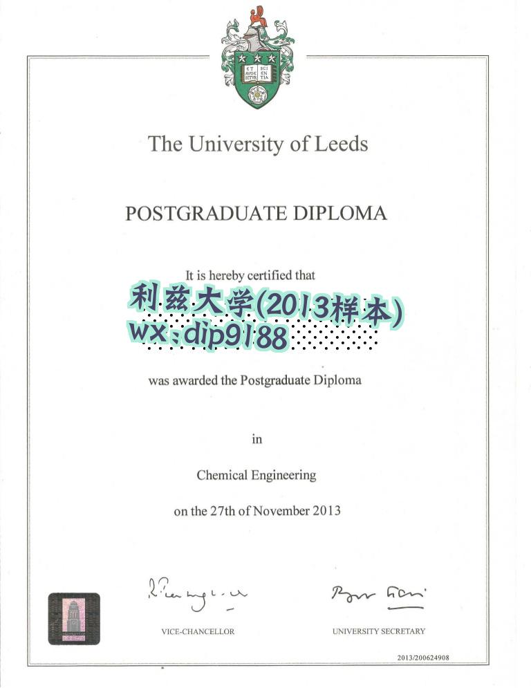 利兹大学学历2013毕业证样本图
