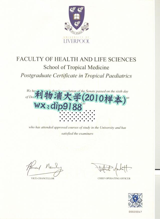利物浦大学学历2010毕业证样本图