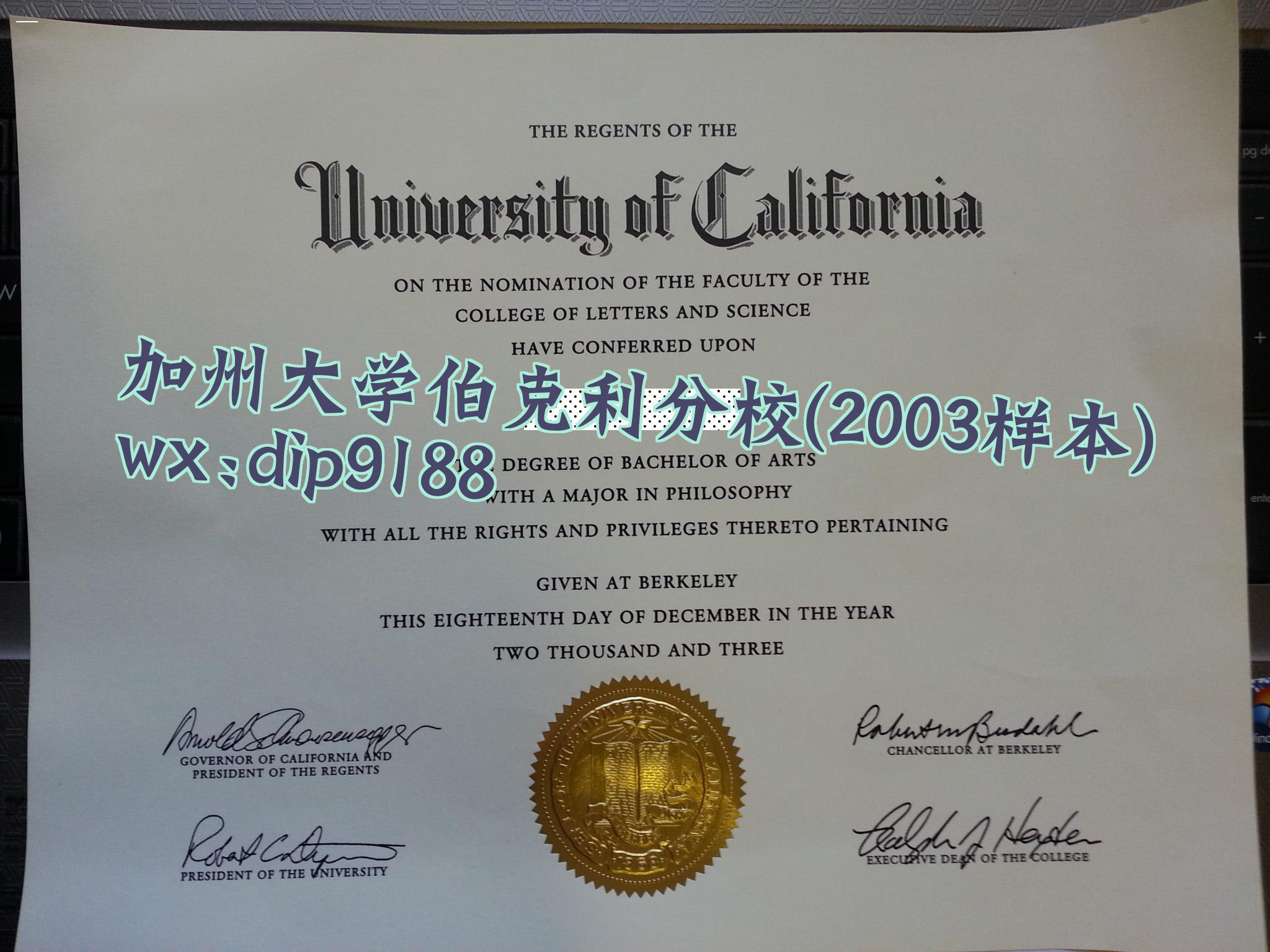 加州大学伯克利分校学历2003毕业证样本图