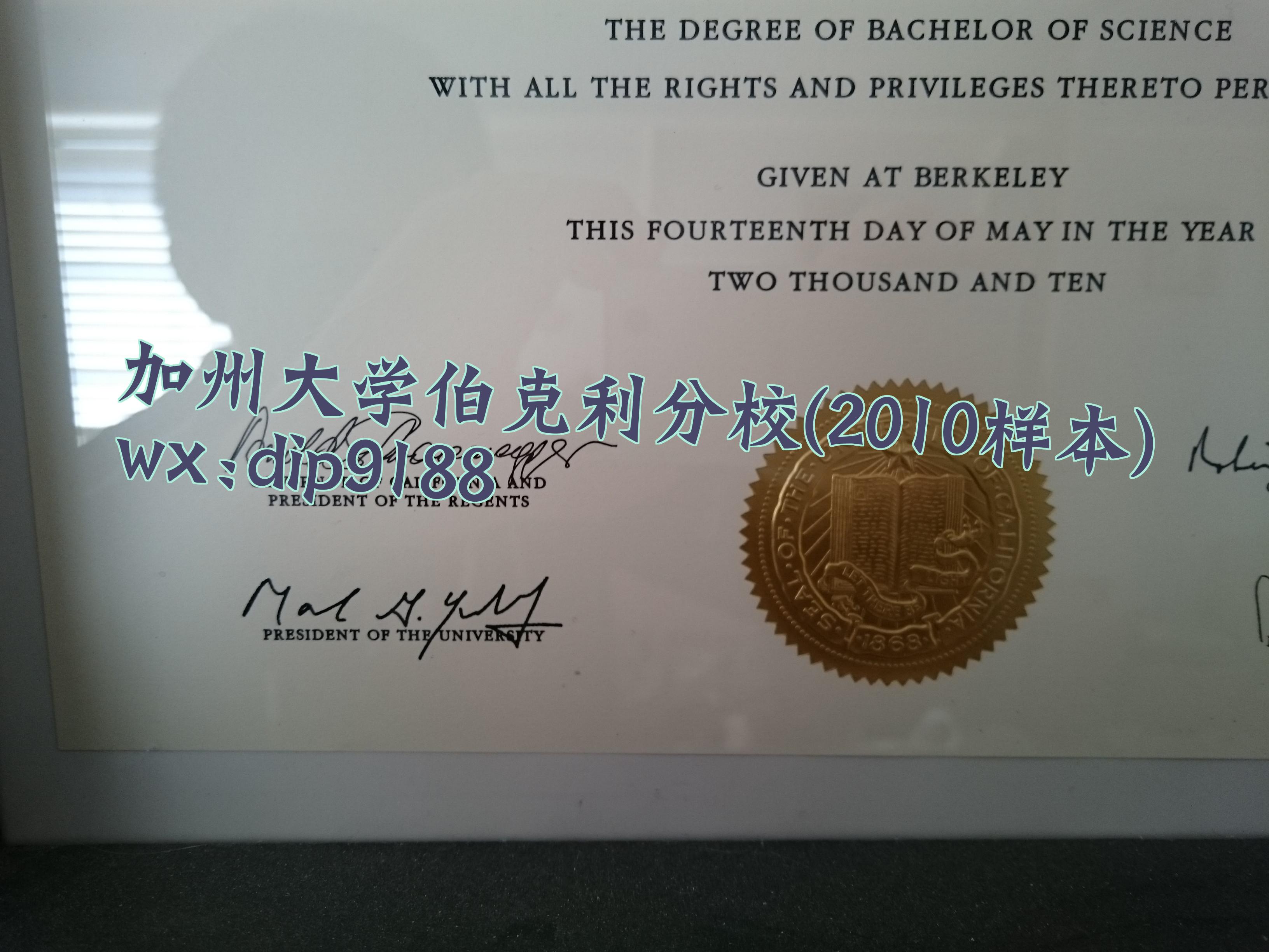 加州大学伯克利分校学历2010毕业证样本图