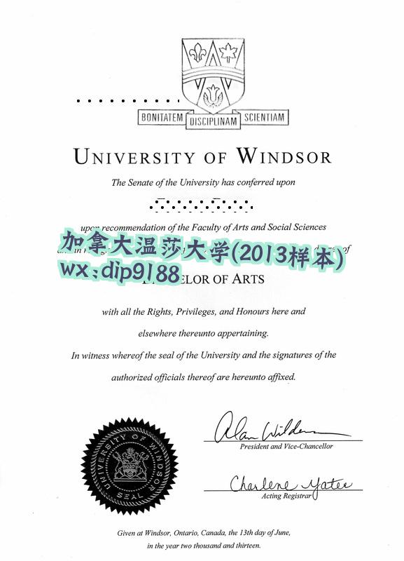 加拿大温莎大学学历2013毕业证样本图