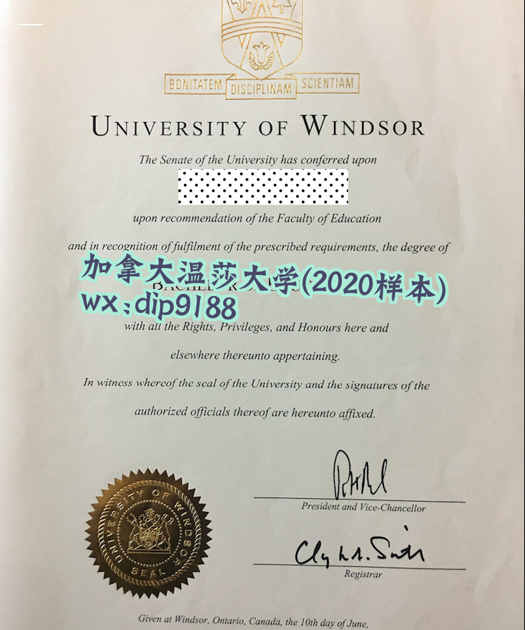 加拿大温莎大学学历2020毕业证样本图