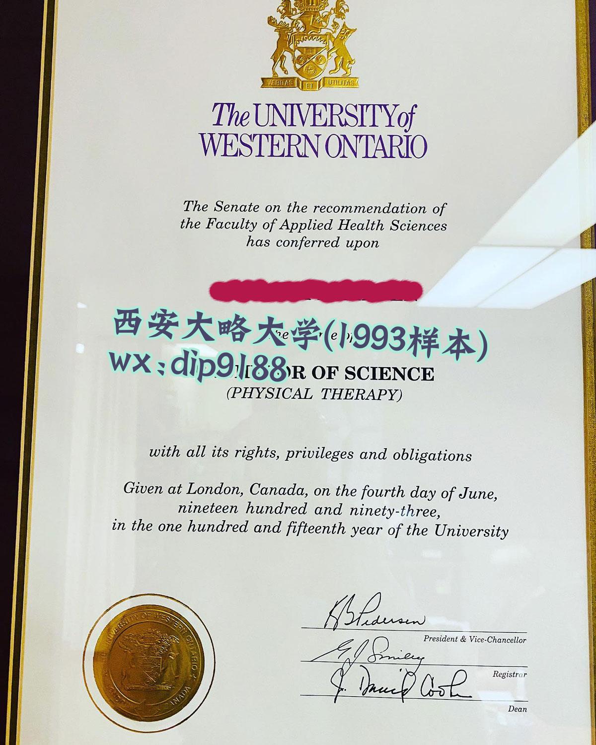 西安大略大学学历1993毕业证样本图