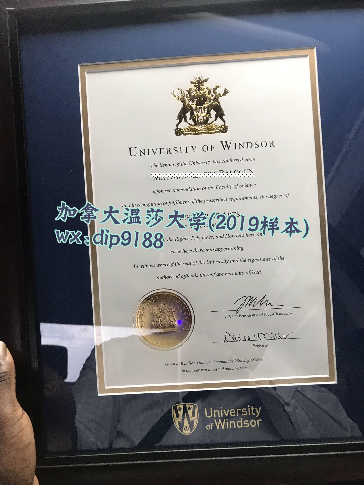 加拿大温莎大学学历2019毕业证样本图
