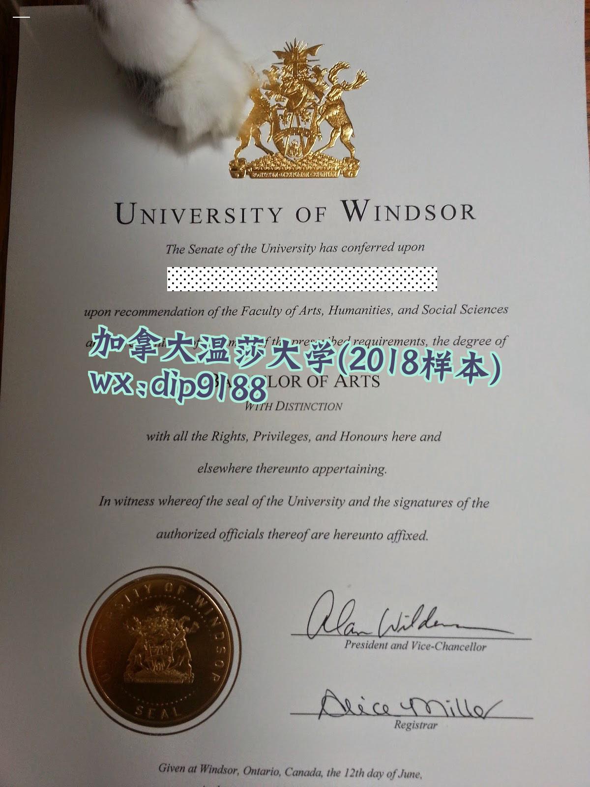 加拿大温莎大学学历2018毕业证样本图