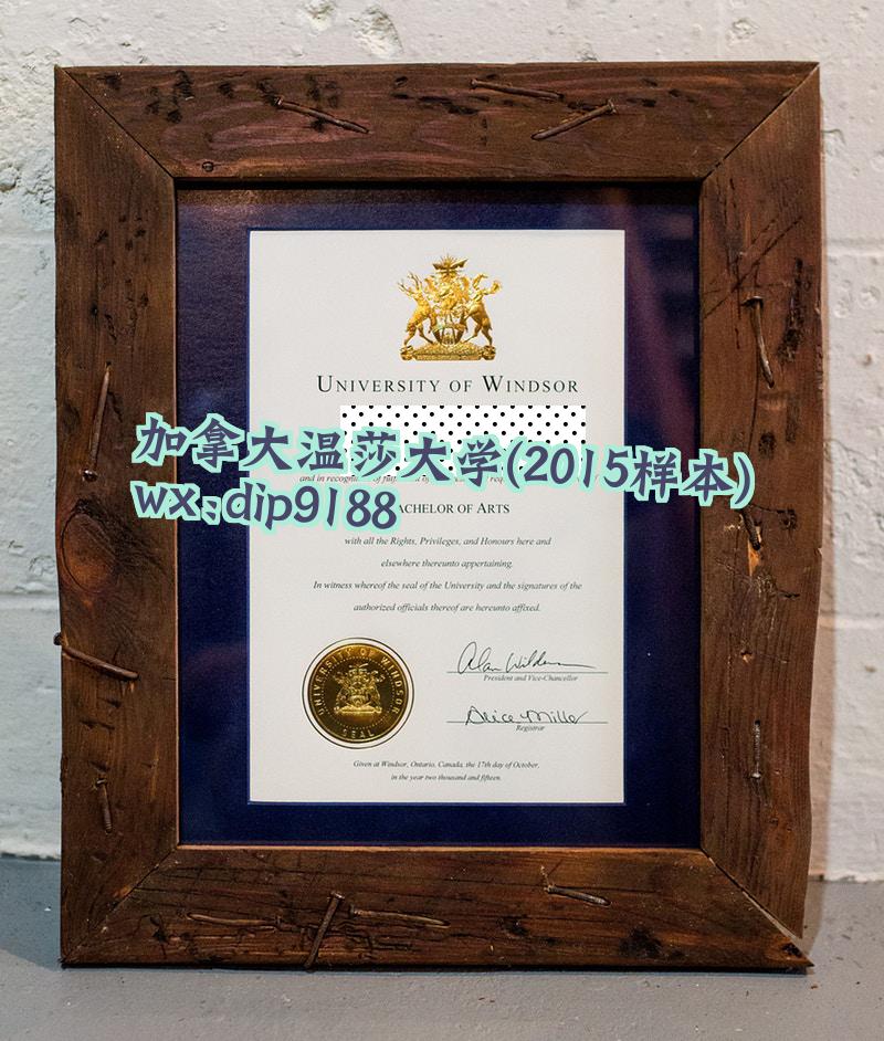 加拿大温莎大学学历2015毕业证样本图