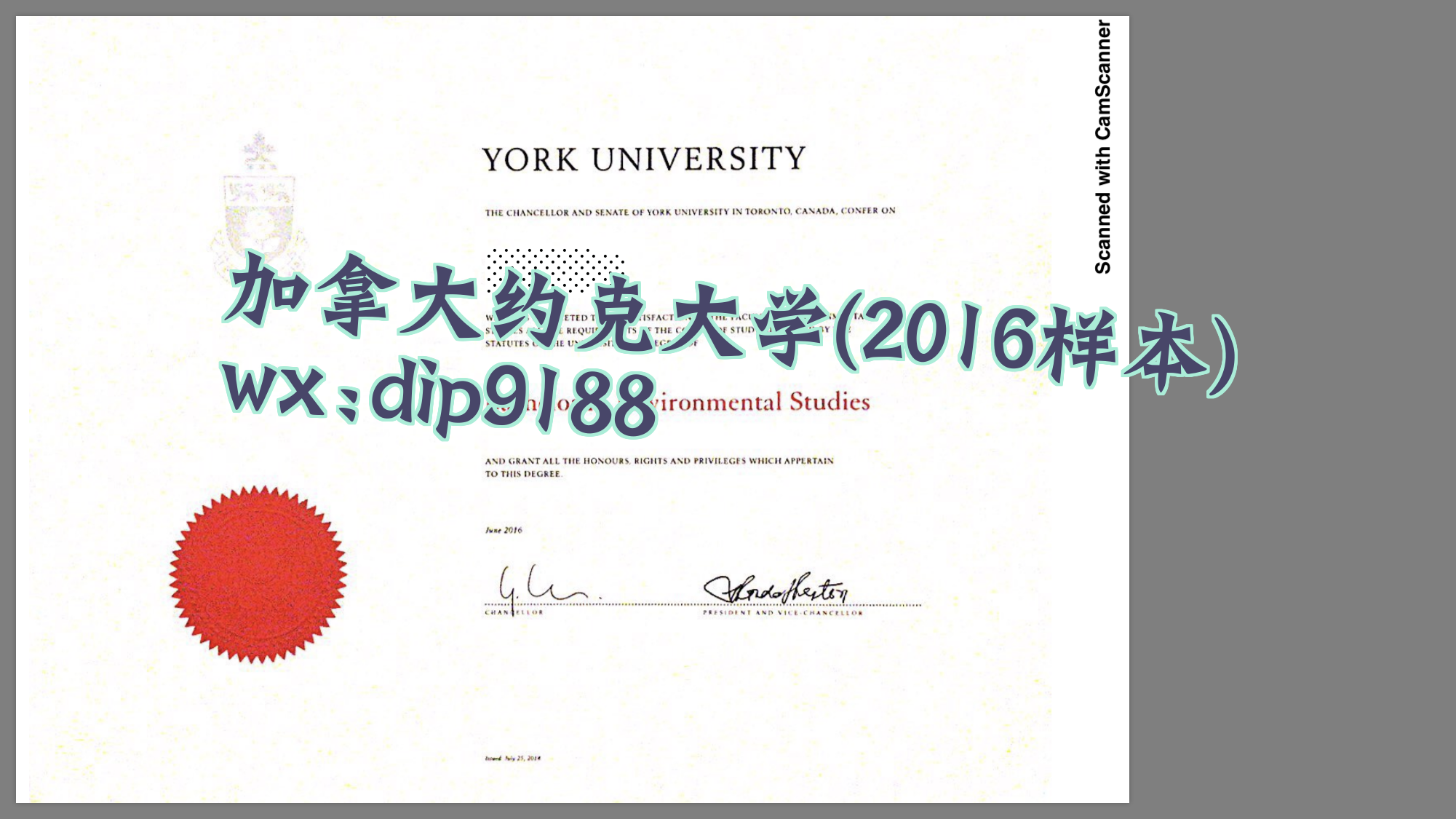 加拿大约克大学学历2016毕业证样本图