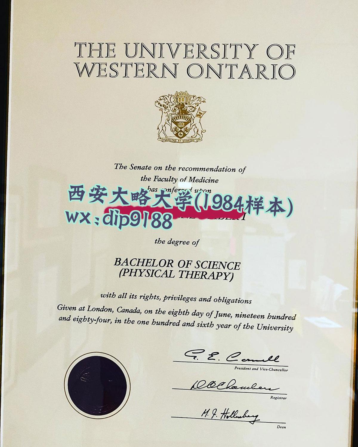 西安大略大学学历1984毕业证样本图