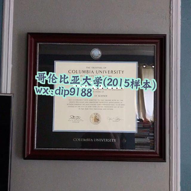 哥伦比亚大学学历2015毕业证样本图