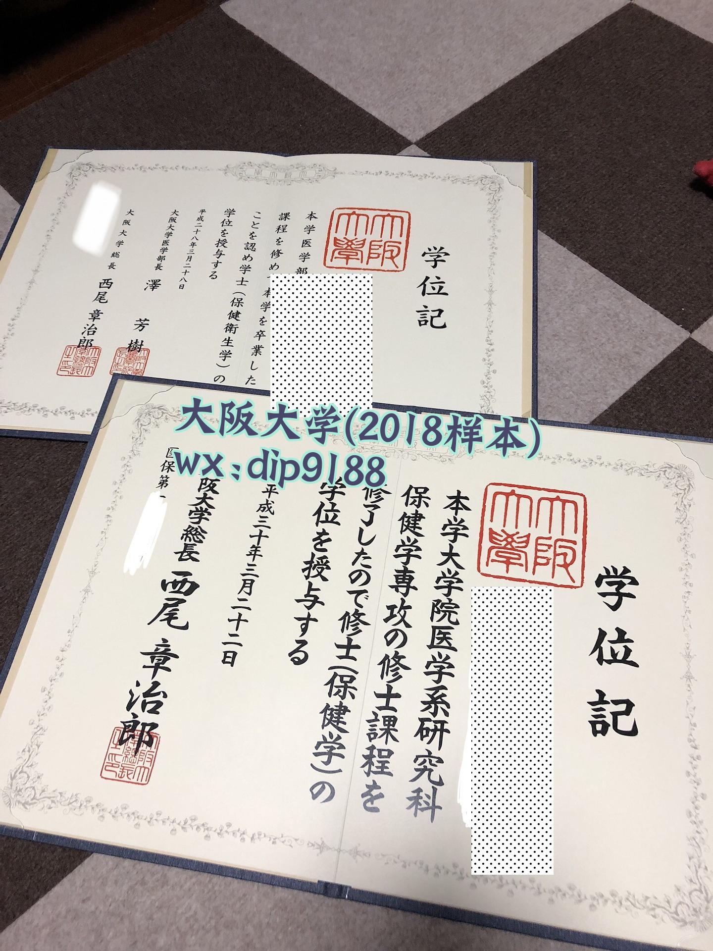 大阪大学学历2018毕业证样本图