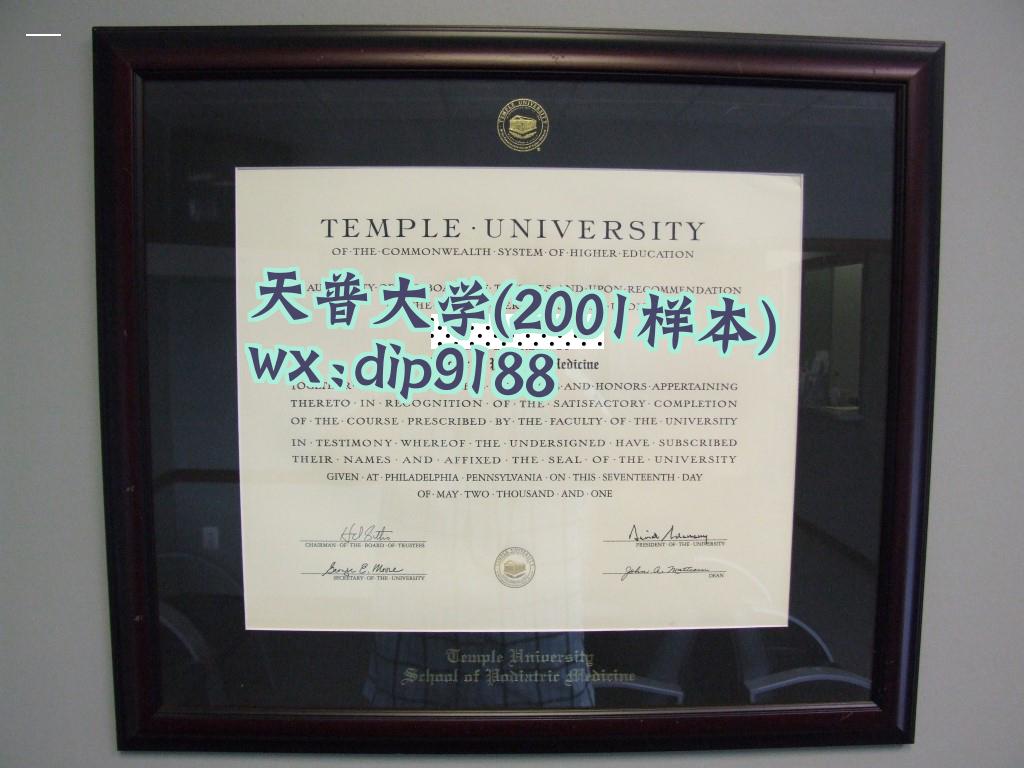 天普大学学历2001毕业证样本图