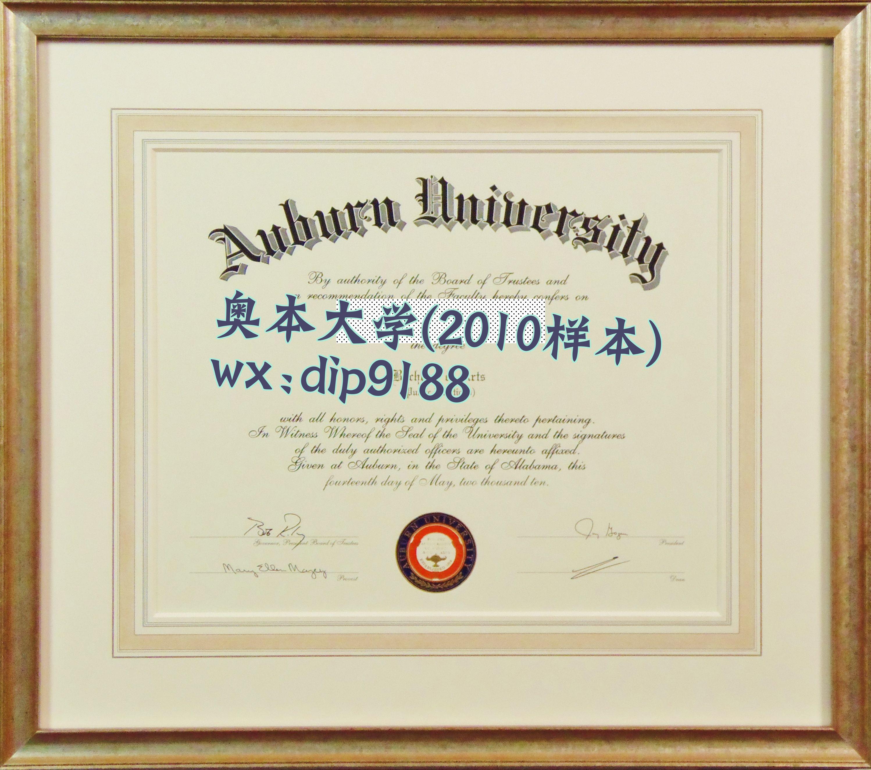 奥本大学学历2010毕业证样本图
