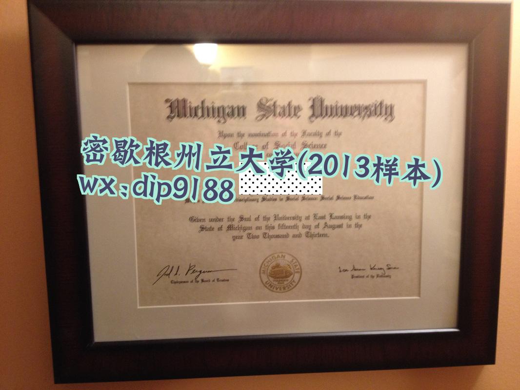 密歇根州立大学学历2013毕业证样本图片